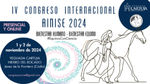 Cartel IV CONGRESO INTERNACIONAL AINISE 2024